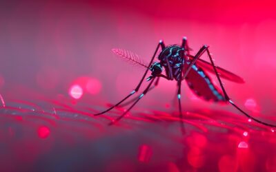 Inteligencia Artificial para prevenir dengue